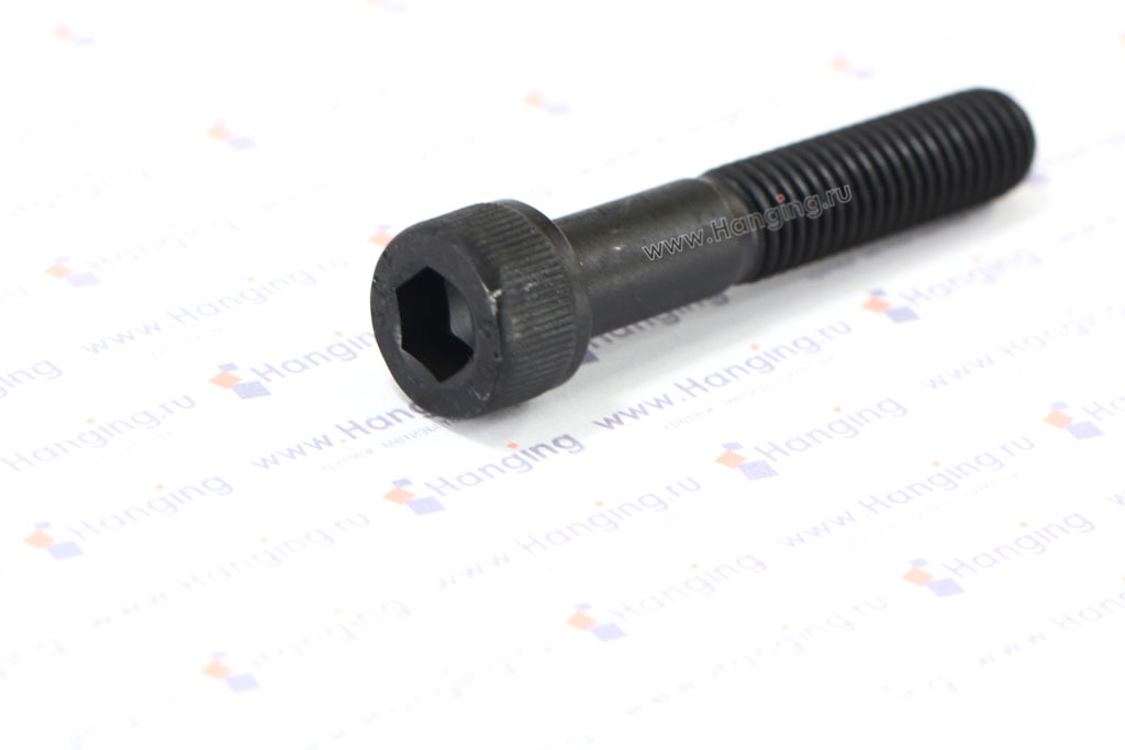 Стальные высокопрочные винты М10х55 ГОСТ 11738-84 класса прочности 10.9 с цилиндрической головкой с внутренним шестигранником без покрытия (аналог ГОСТ на винты DIN 912 M10x55 10.9 St и М10х55 ISO 4762 10.9 St)