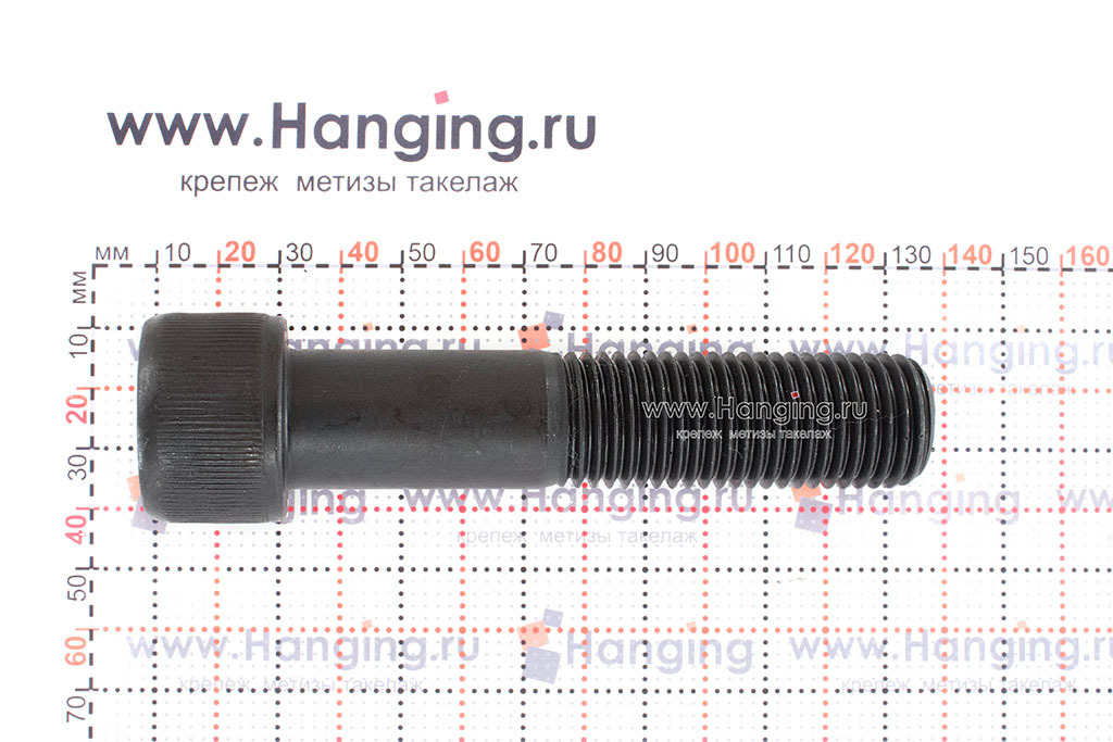 Винт М22*100 DIN 912 с шестигранником кл.пр. 12.9 без покрытия