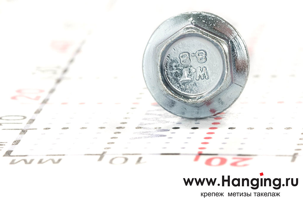 Головка фланцевого болта М5х10 класса прочности 8.8, полная резьба