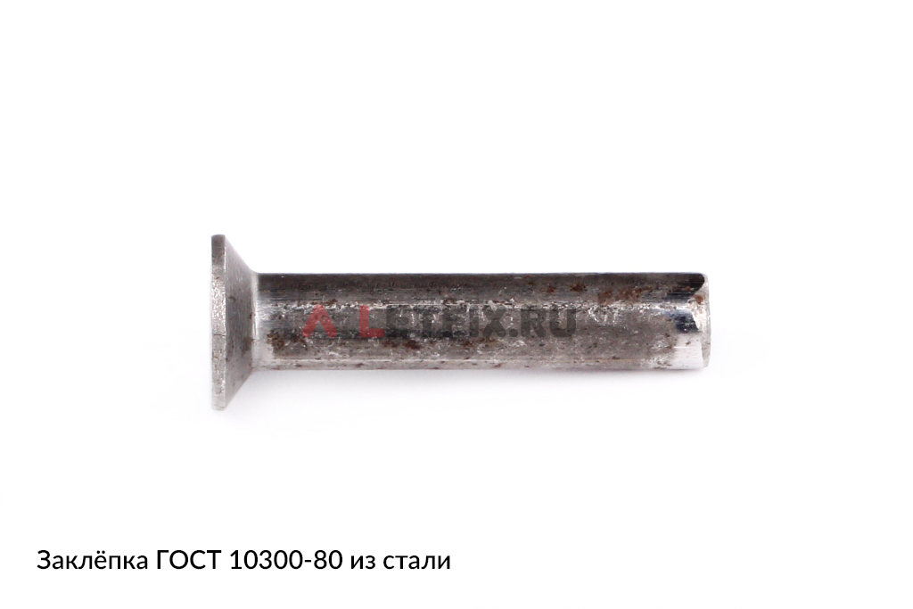 Стальная заклепка ГОСТ 10300-80 без покрытия (аналог DIN 661 и DIN 302 сталь)